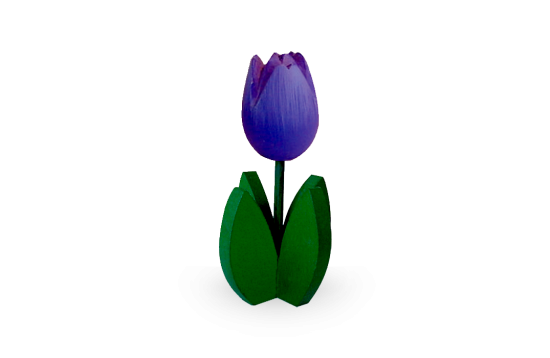 4vtulppurple 0