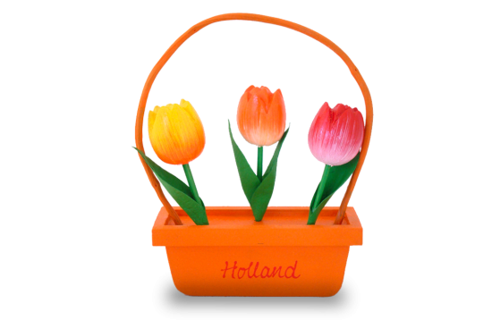 Bloembakje3 tulpenoranje