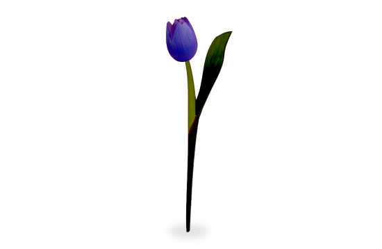 Houten tulp op steelpurple 0