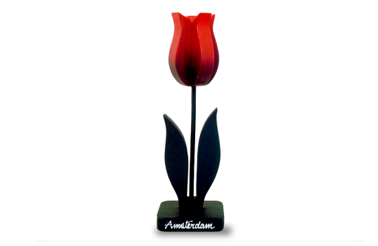 Houten tulp op voetred