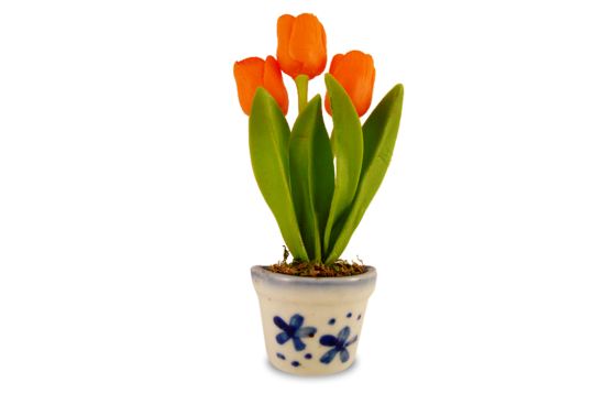 Klei tulpen in db potoranje