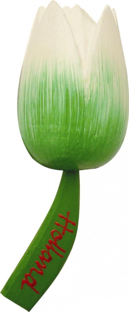 Tul magnet green white l 55 0