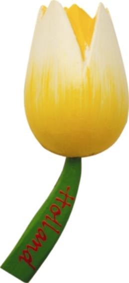 Tul magnet yellow l 63