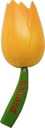 Tul magnet yellow orange l small 60