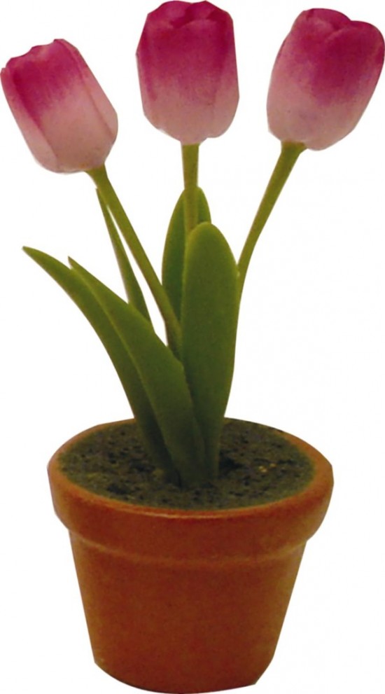 Tulp klei licht paars 71 0