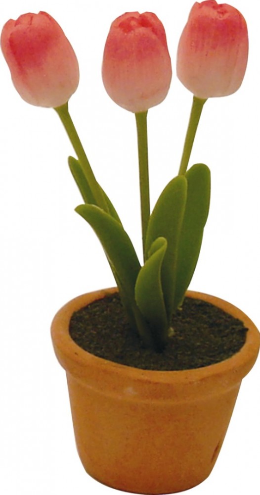 Tulp klei licht rood 73