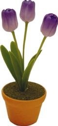 Tulp klei paars small 66